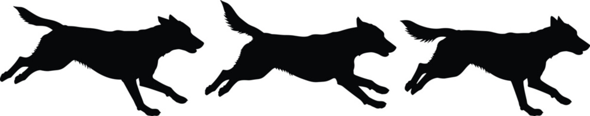 Dog, silhouette, running, motion, black, white, vector, illustration, animal, agility, dynamic, CAD, drawing, flat, design, canine, speed, movement, graphic, style