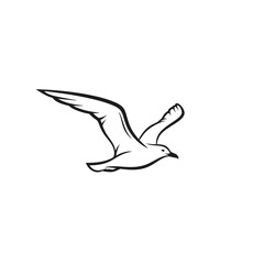 Elegant black line art of a soaring seagull with spread wings a minimalist vector illustration.