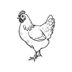 Fototapeta premium Vintage black and white illustration of a standing hen