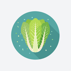 Illustration of a fresh romaine lettuce head against a teal circle backdrop design