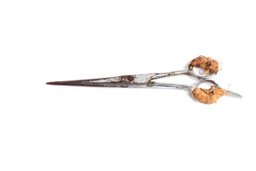 rusty barber scissors wrapped in gauze isolated on white background