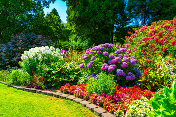 Lush Garden Flowers 4