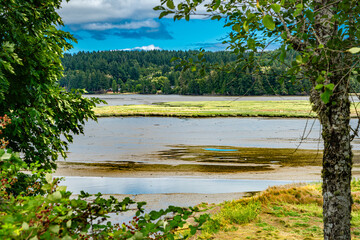 Oyster Bay Landscape 2