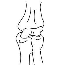 Science of hand drawn vector knee joint outline.