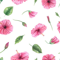 Watercolor seamless pattern with pink hibiscus flowers, leaves on isolated background. Hand painted Chinese rose illustration for tropical wallpaper, fashion textile, wedding invitation, summer decor
