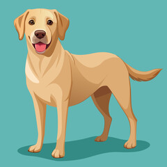 labrador retriever dog vector art illustration