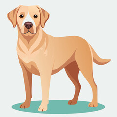 labrador retriever dog vector art illustration