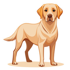 labrador retriever dog vector art illustration