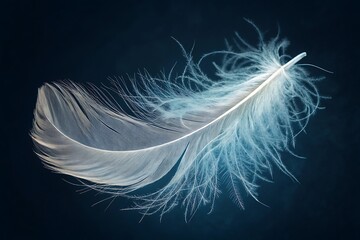 Obraz premium Delicate white feather with wispy strands on dark blue soft
