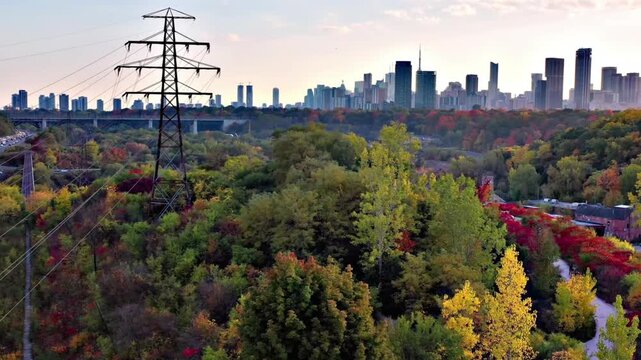 Toronto skyline with autumn trees in foreground at sunrise or sunset