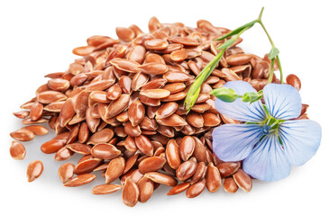 Blue delicate flax flower lays on heap of linseeds isolated on white background. Cut out PNG file.