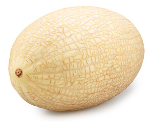 White oval melon isolated on white background. File contains clipping path.