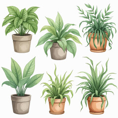 Obraz premium A collection of various indoor houseplants in pots. Watercolor botanical illustration set of green leafy foliage for home decor concepts, isolated on white.