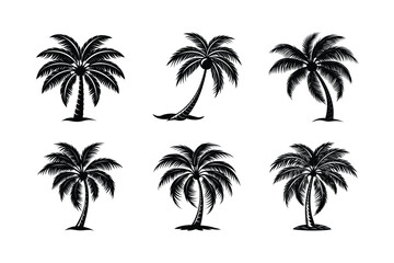 Fototapeta premium Palm Tree Bundle