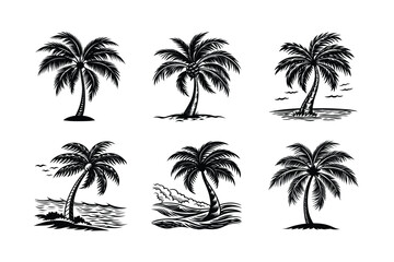 Fototapeta premium Palm Tree Bundle