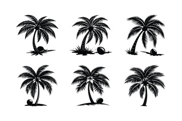 Palm Tree Bundle