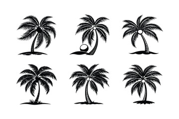 Fototapeta premium Palm Tree Bundle