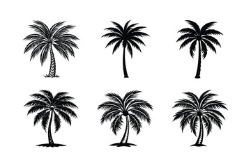 Fototapeta premium Palm Tree Bundle