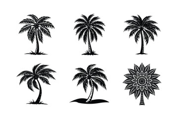 Fototapeta premium Palm Tree Bundle