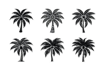 Palm Tree Bundle