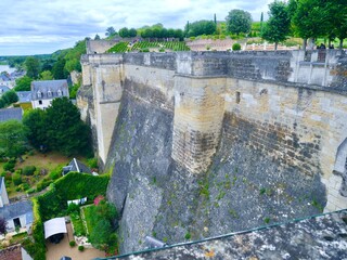 Vue sur les remparts et les jardins du Château d'Amboise surplombant la Loire.