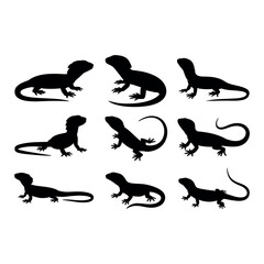 Collection of nine black lizard silhouettes in various poses lizards reptile