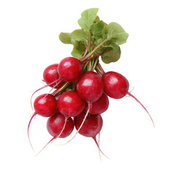 Cluster of vibrant red radishes with green leaves