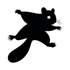 Flying squirrel silhouette in mid-air animal wildlife