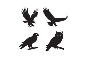 Obraz premium Four silhouette bird collection featuring eagles and owl in flight and perched