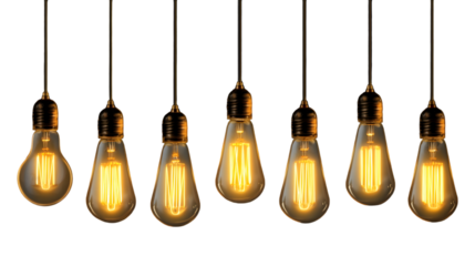 Collection of Warm Glowing Edison-Style Light Bulbs