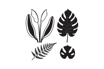 Black and white botanical illustration of tropical leaves and plants