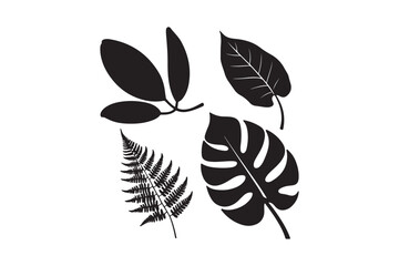 Collection of four black silhouette tropical leaves on white background