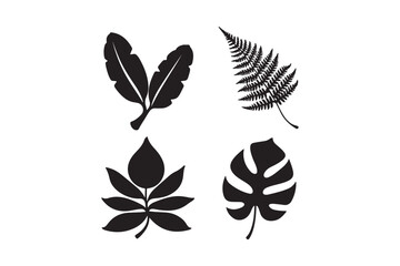 Four black silhouette tropical leaves on white background
