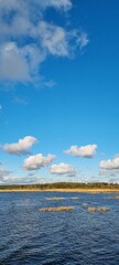 Baltic Sea Shore with Golden Autumn Foliage and Blue Sky