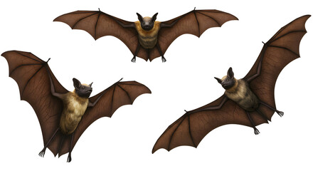 Three adorable brown bats in flight, isolated on white background, perfect for Halloween or nature themes, showcasing their unique wingspan and furry bodies.