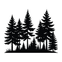Obraz premium Silhouette of a Forest of Pine Trees