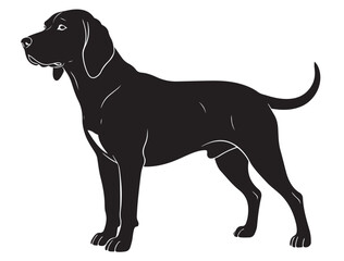Obraz premium COONHOUND DOG SILHOUETTE
