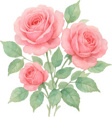 Watercolor pink roses and green leaves bouquet arrangement floral flower