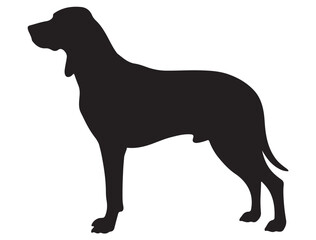 COONHOUND DOG SILHOUETTE