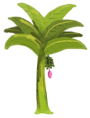 hand-drawn illustration of a banana tree with large green leaves. Great for tropical, botanical, and nature-themed designs.