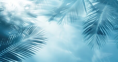 A serene blue background with palm leaves, evoking a tropical atmosphere.