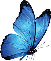 Realistic Blue Butterfly Vector – Vibrant Wing Texture, White Spots, and Dark Edges for Nature, Garden, and Decorative Themes