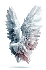 Pair of ethereal angel wings