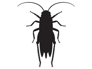 CRICKET INSECT SILHOUETTE