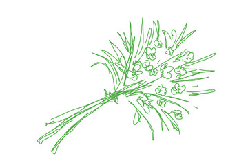 A bundle of flowers sketch lineart