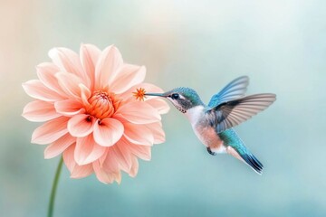 Hummingbird feeds on nectar from pastel pink blossom with wings outstretched showing delicate details in bright natural garden scene
