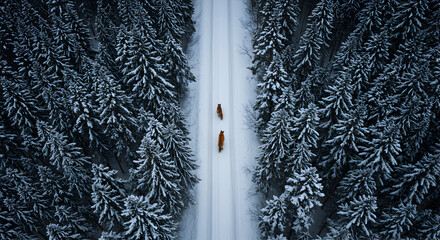 Three reindeer pull a sleigh down a snowy road, surrounded by tall, majestic pine trees in a breathtaking winter wonderland scene.