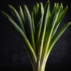 Obraz premium Gemüse 17