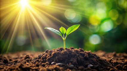 A young sprout emerges from rich soil, bathed in the warm glow of sunlight, symbolizing growth, resilience, and the promise of a flourishing future.