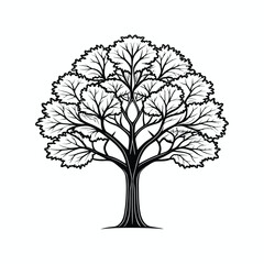 Fototapeta premium vector tree silhouette